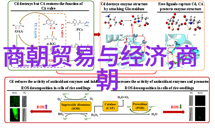 历史人物故事选三瘦词人之谜揭秘他们的风采选择一个讲述他的人生篇章