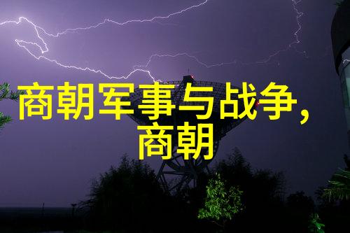 征服者和文人墨客明代士人对国家责任感的看法