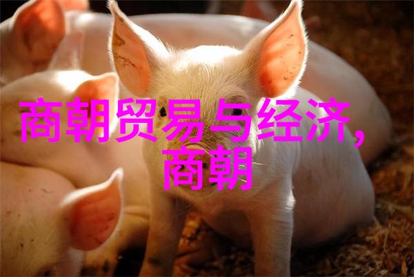 当涂县民俗文化探索当涂县深厚的民族特色和历史遗产