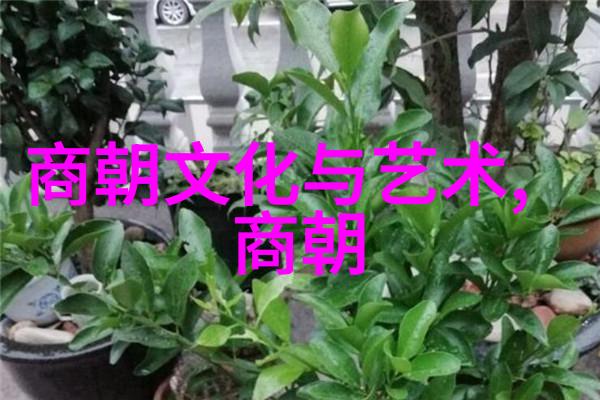 蒙古铁骑征服下的多民族国家元朝概述