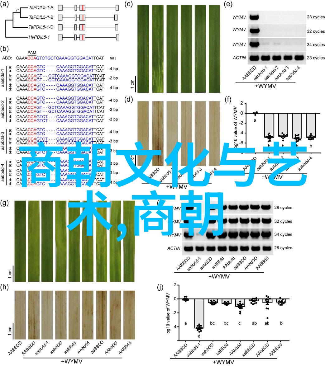 什么是一切艺术形式普遍艺术的灵魂让每个故事都触动人心