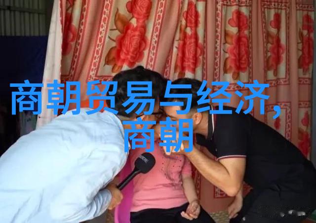 外来征服与中原统治元朝的入主天下考察