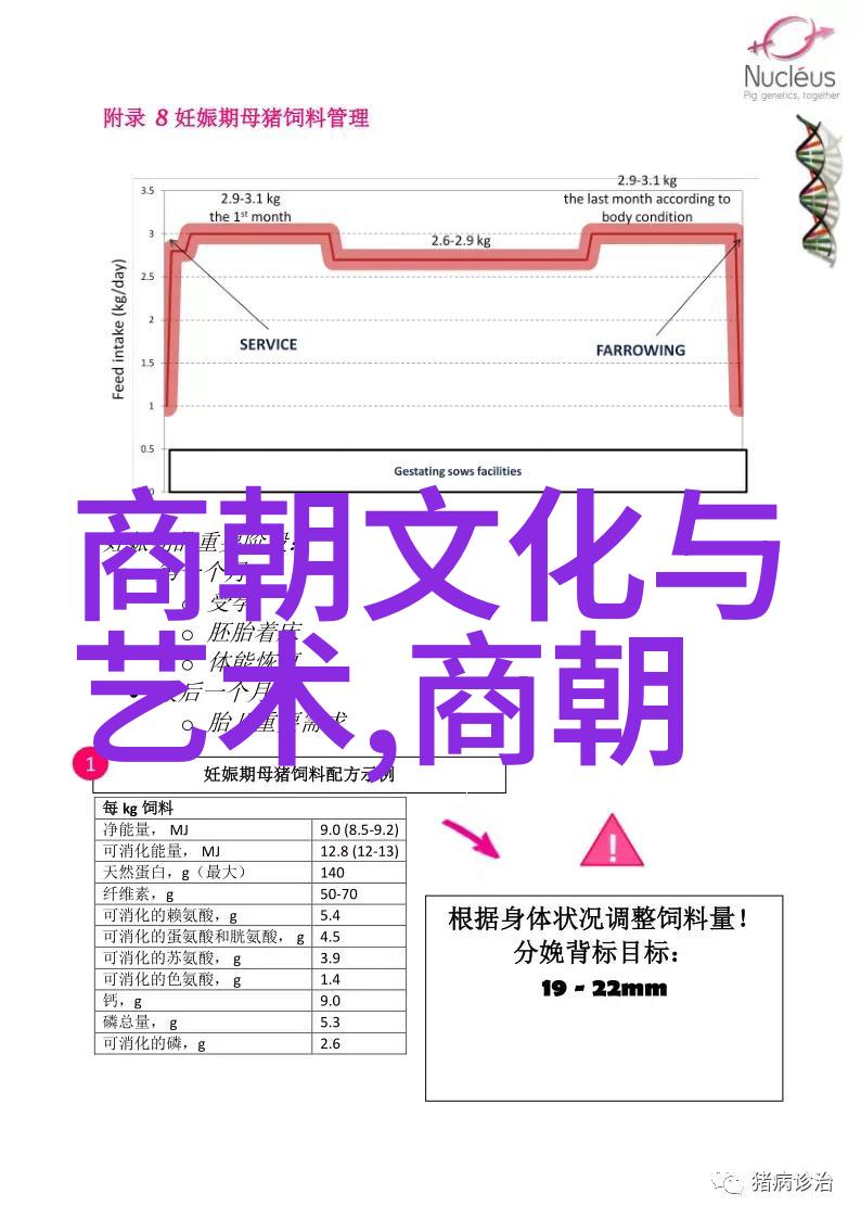 跨越界限打破常规十个不平凡的事迹探究