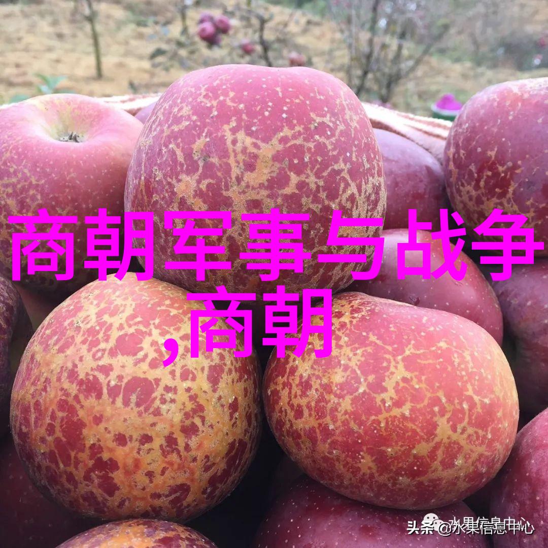 皇权的纷争与江湖的变迁