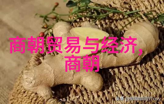 龙凤呈祥朱棣登基之日姚广孝荣获辅佐英杰称号府邸宫女齐赐