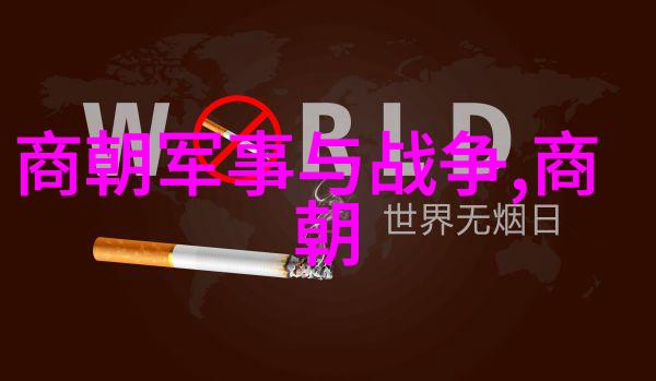 明朝大观龙凤盛世下的华章变迁