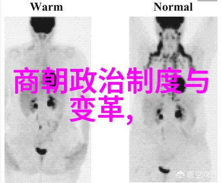 最荒唐的冒险追逐梦想与不可能的事迹