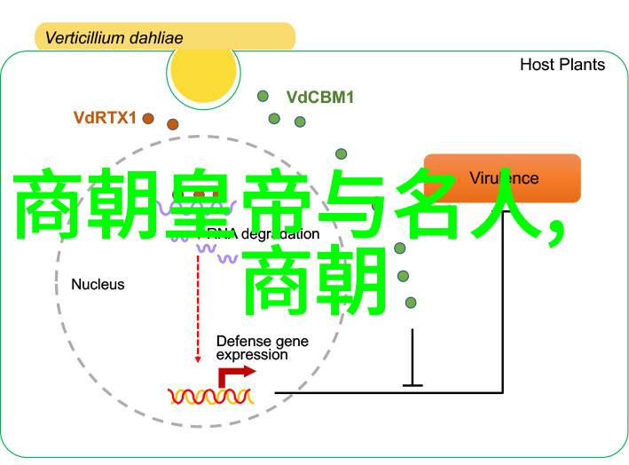 历史的长河八上知识点解读