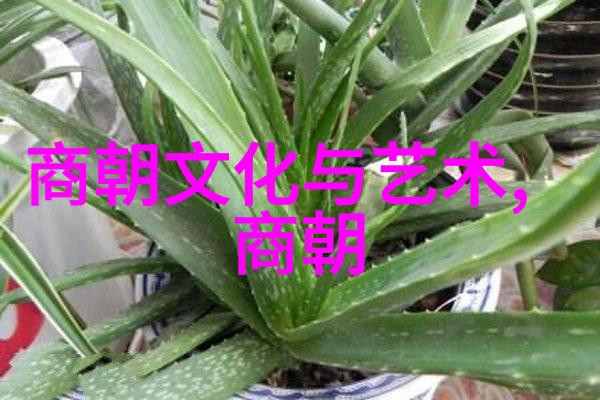 听中国历史野史趣闻荒淫皇帝的儿媳妇轮流侍寝秘史