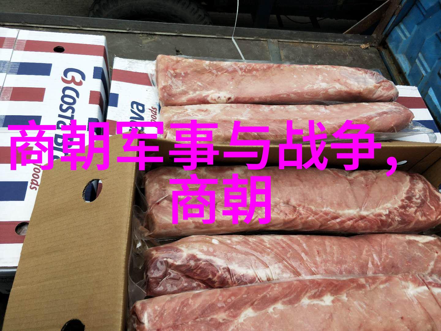 唐朝豪放女影视中的风华与韵味