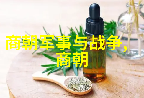 明末诡异天启之年奇缘未了