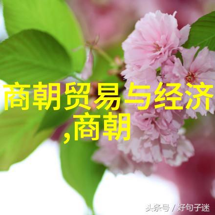 唐朝贵族风范探索昌平公主的生活轨迹与影响力