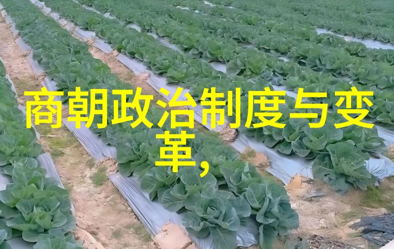 刺杀希特勒克劳斯冯施陶芬贝格的勇敢使命