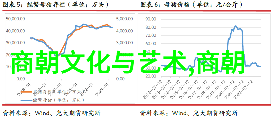 凤凰涅槃中国文化中的象征与寓意