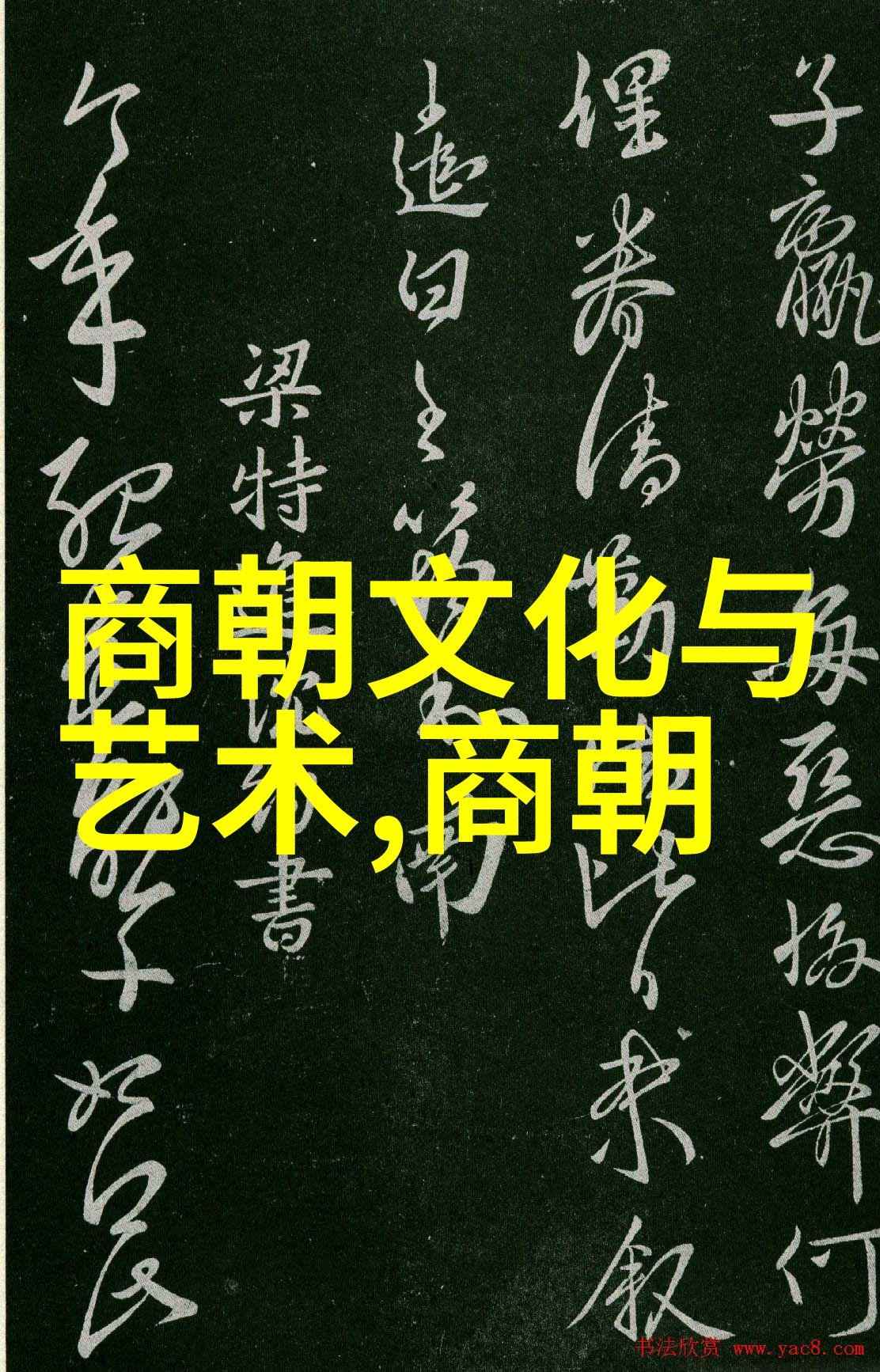 明光宗朱常洛与泰昌帝合葬的5位妃嫔物品列表