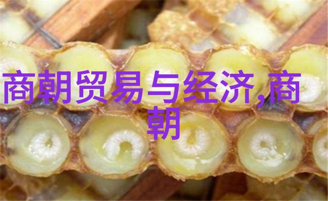 探秘乙支文德从古代算术之父到数理逻辑的先驱