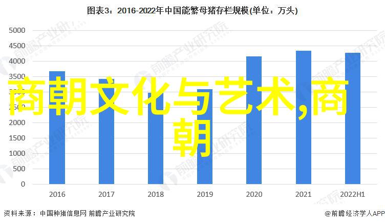 潮流风暴19岁女Rapper的激情之声