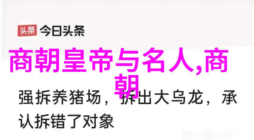 红颜戏迷王瑾珍与我心中的河南豫剧