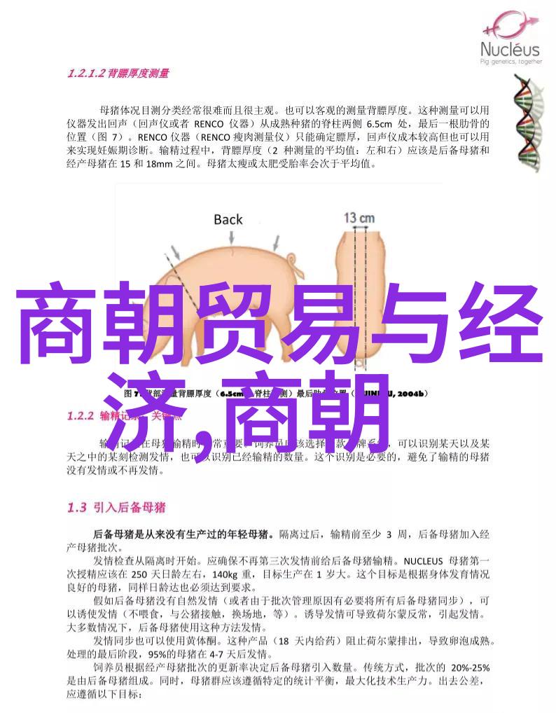 艺术的五彩缤纷探索绘画音乐文学舞蹈与戏剧的独特魅力