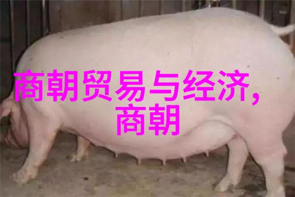 CCTV纪录片世界历史 - 时光长河CCTV纪录片探索世界的巨变