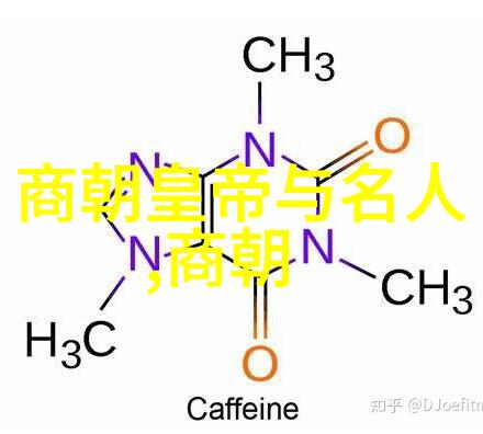 探秘你心灵的森林迈开腿让我见证你的内心世界