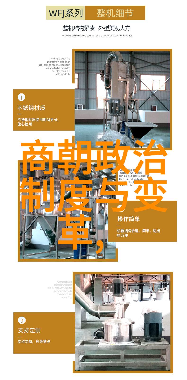 经济发展与社会结构宋代城市化进程