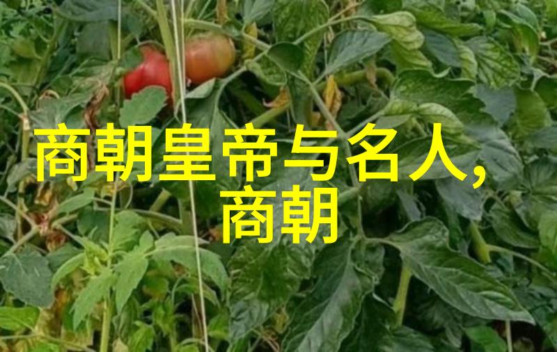 清朝皇帝排名先后顺序-康乾盛世与衰运之转清朝历代帝王的兴衰排行