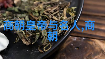 辽金之谜如何一个朝代的历史被遗忘