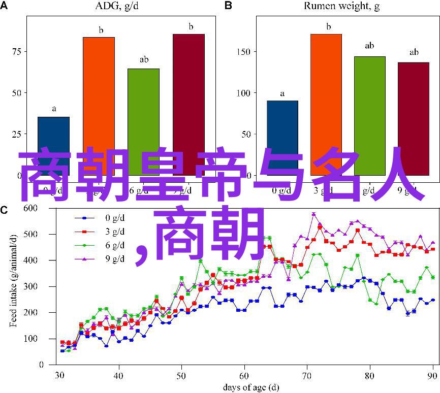 塑造生命片段人物小传写作技巧与艺术探究