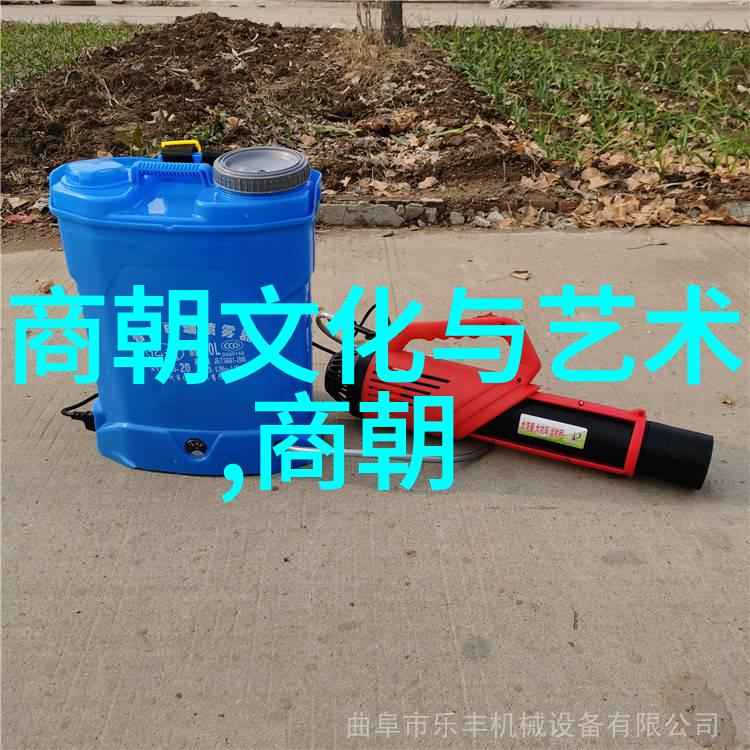 隋朝来客高清下载揭秘古代游子的归途