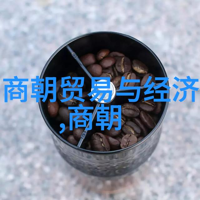 明朝十大著名战争明清交替的战役