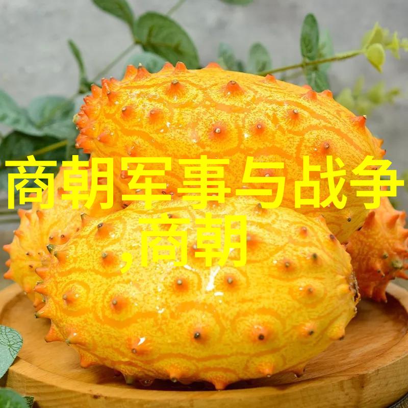 明朝帝王谱龙脉传承