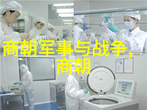 反映土木堡之战的电视剧我家里的明朝土木堡大逃亡