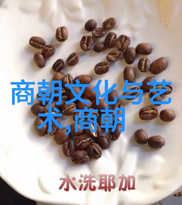 穿越时空的历史足迹世界史中那些被遗忘的小故事