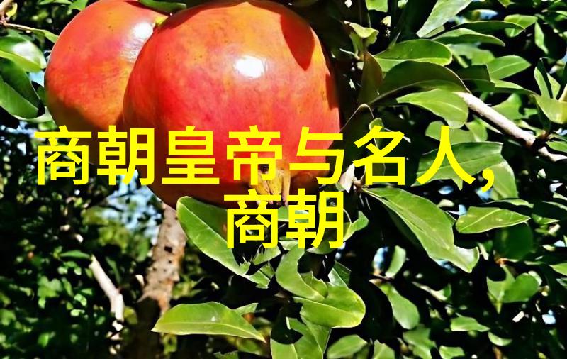 宇文护独孤般若隋朝杨坚皇帝传