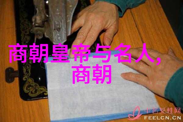 影视评论 - 探索漂亮的保姆中文版背后的故事与魅力