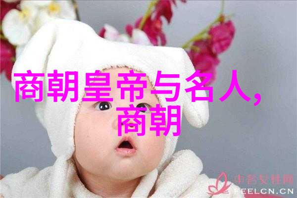 明朝明成祖下一位朱厚熜的沉默与挑战