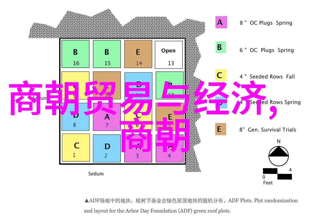 泰山区教科研中心知识的灯塔与创新之舟