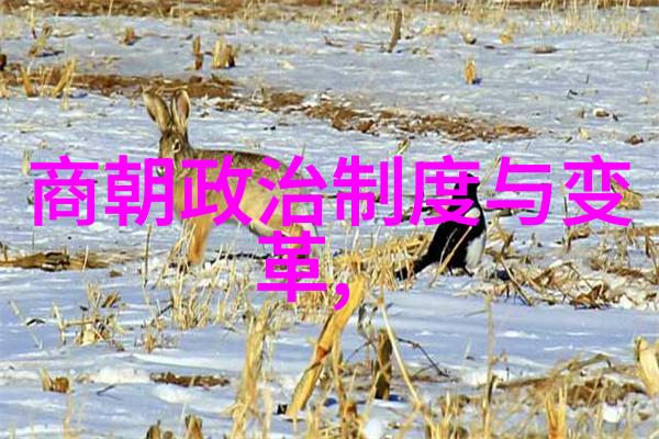 关注国内国际时事2022年12月6日我眼中的今日焦点疫情防控新政策与全球经济前景的微妙变化