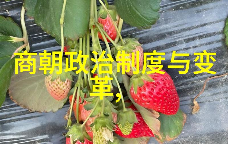 五个闺蜜的疯狂互换春雨医生-闺蜜们的奇幻诊所春雨医生的无尽冒险