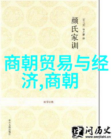 与我同行见证中华文明的辉煌小太极的视角