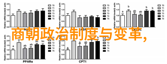 南诏国被宋朝灭掉的历史南诏最后的覆灭