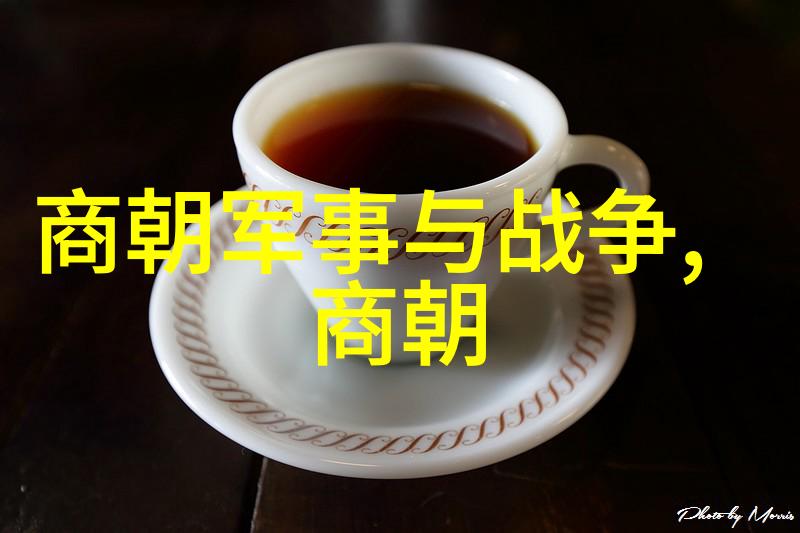 元朝失败数据解析叶茂才视角