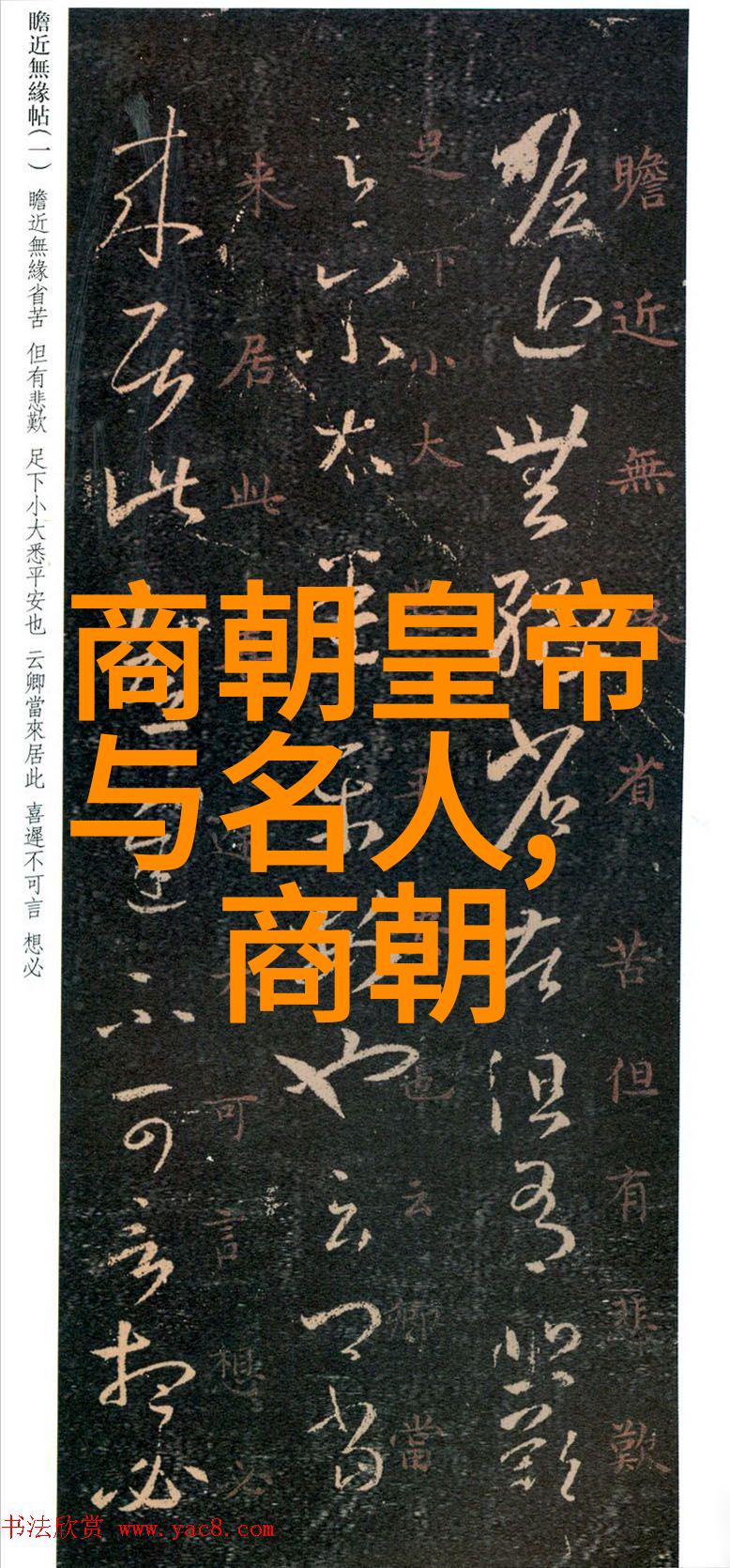 2023奇闻趣事大全集揭秘一年中最令人惊叹的故事