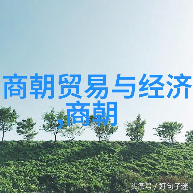 在历史上有哪些关于脱兔脫陀的争议需要进一步探讨