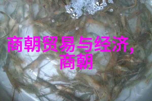 黄河流域的韵味一段河南文化的故事