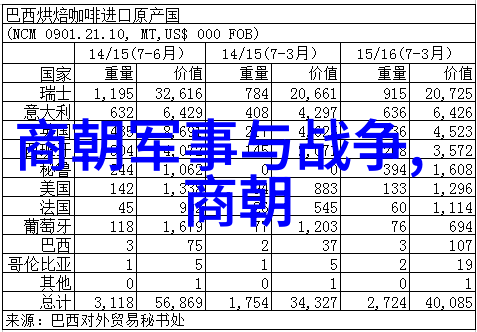 了解过去规划未来初三年级学生在构建个人世界历史时刻注意事项