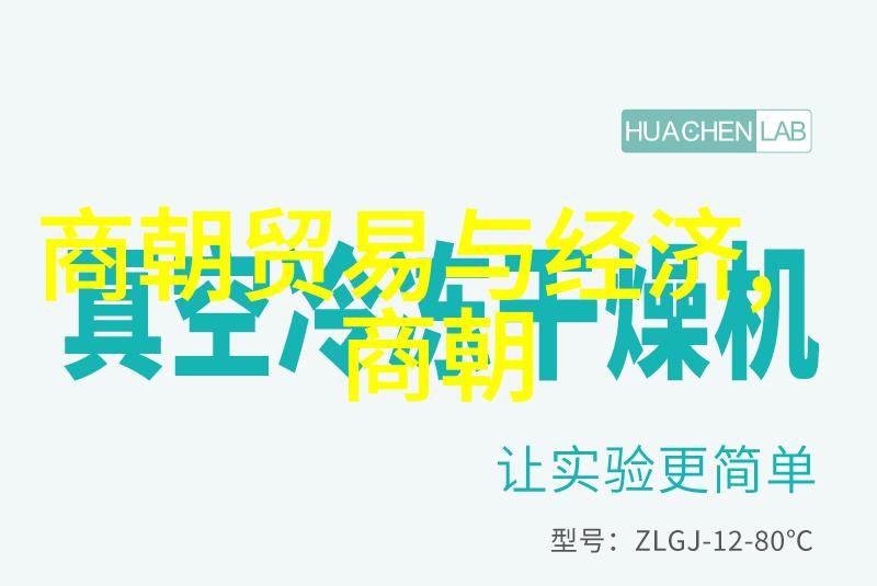 元朝辽阔版图从蒙古帝国到大元王朝的扩张与疆域探究