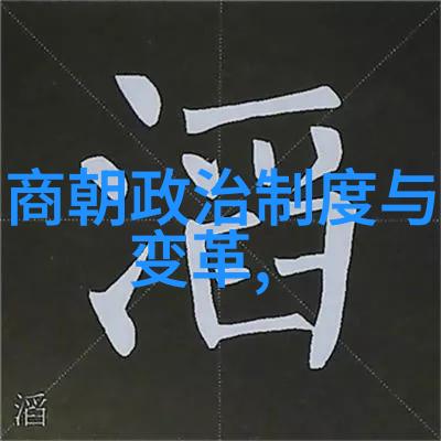 宋朝时期的邻域与邦交探索中土与周边国家的关系