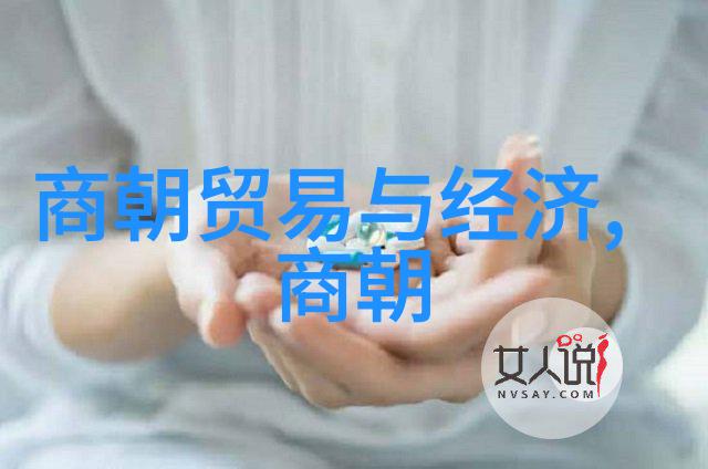 明朝简史我眼中的明朝风云变幻